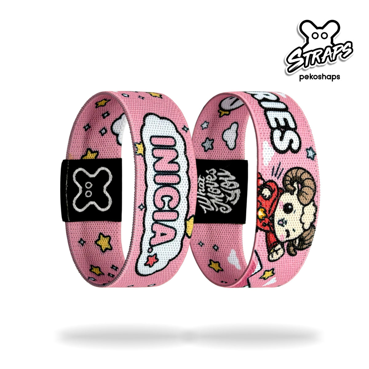 ARIES (doble vista)