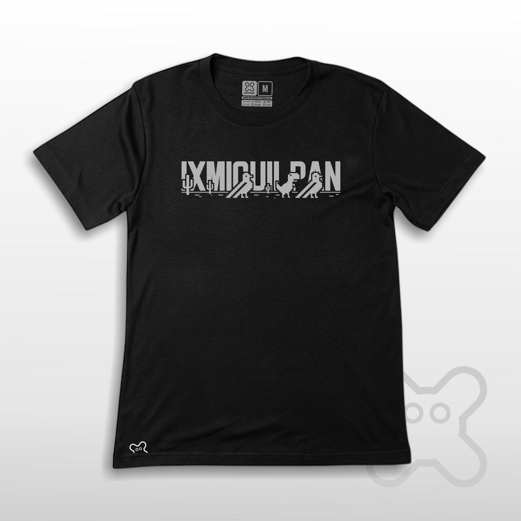 PASEO POR EL VALLE IXMIQUILPAN