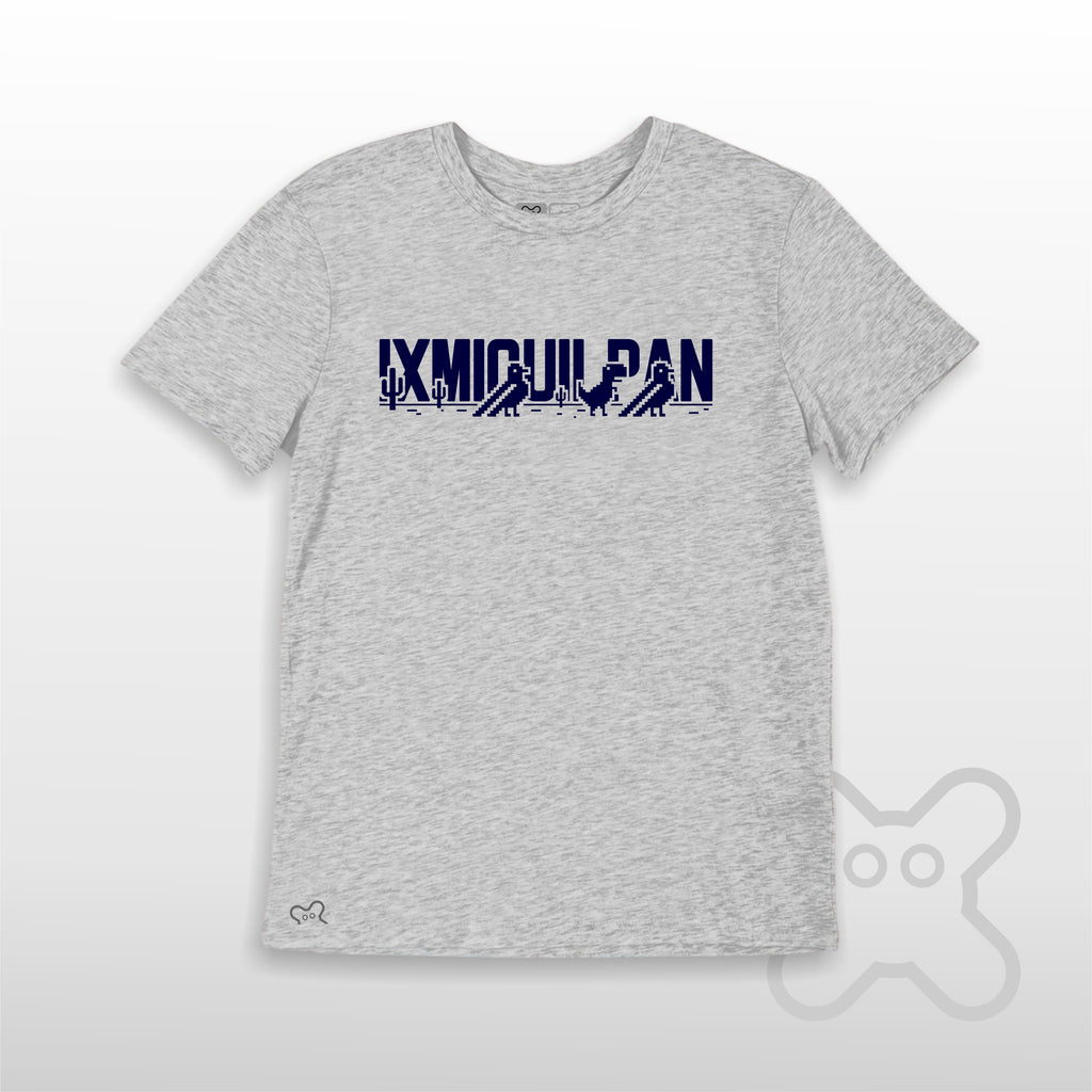 PASEO POR EL VALLE IXMIQUILPAN