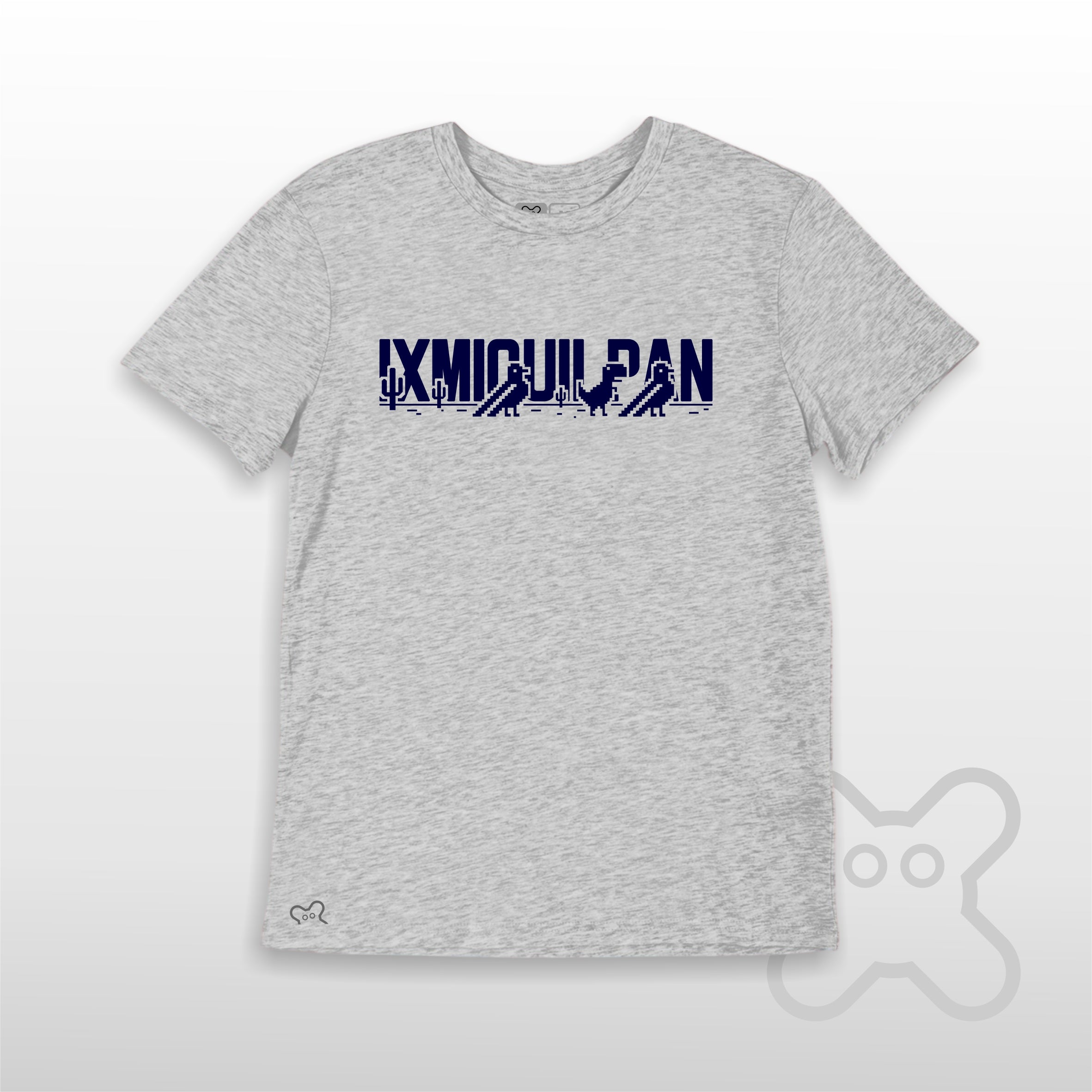 PASEO POR EL VALLE IXMIQUILPAN