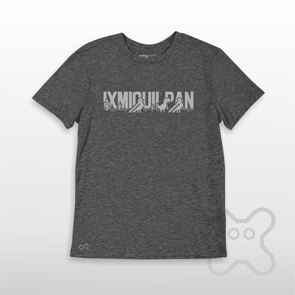 PASEO POR EL VALLE IXMIQUILPAN