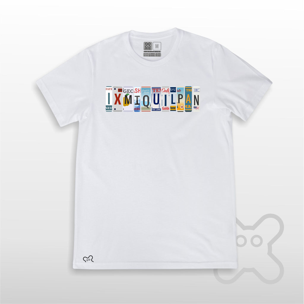 PLACAS IXMIQUILPAN HOMBRE