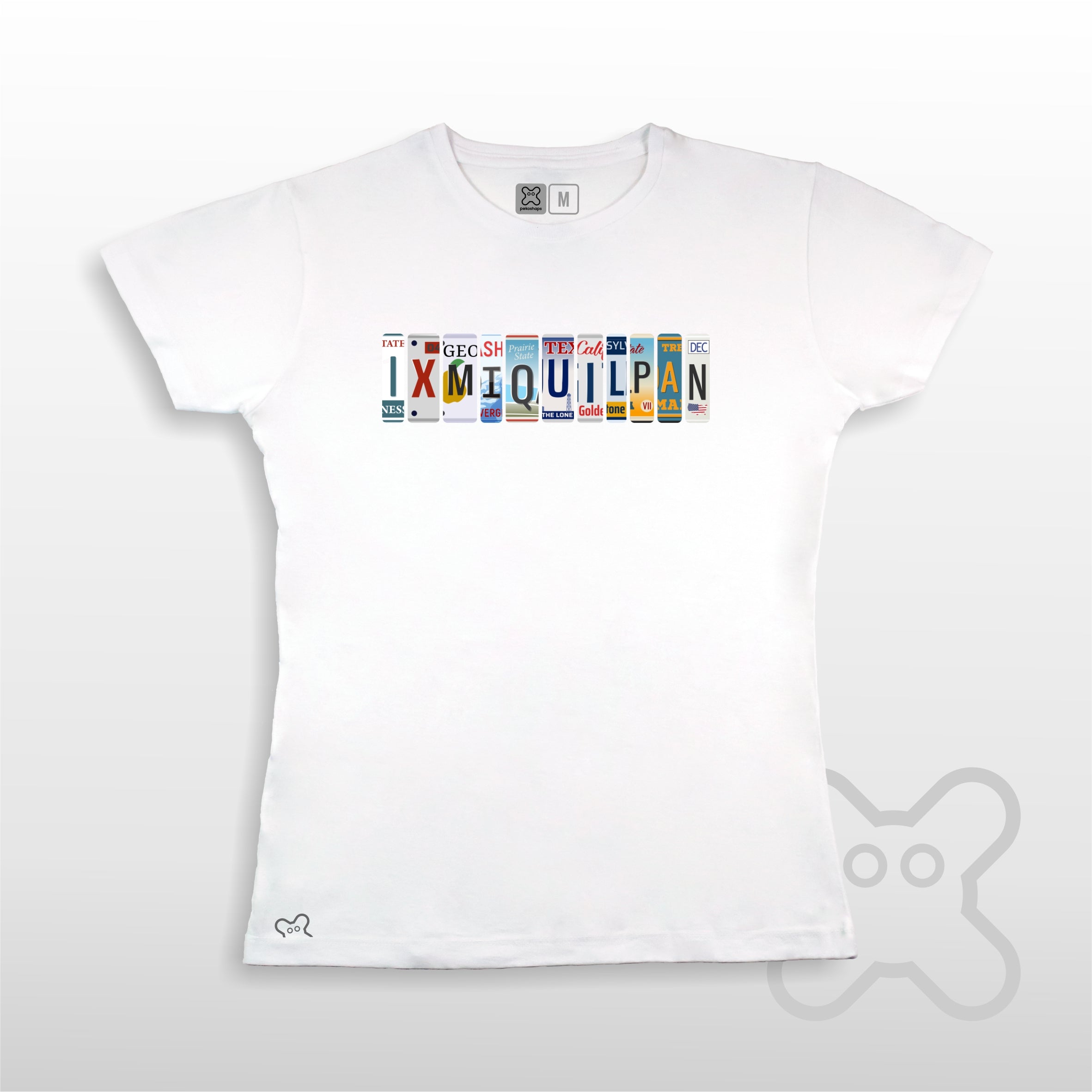 PLACAS IXMIQUILPAN MUJER